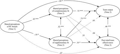 One Big Happy Family? Unraveling the Relationship between Shared Perceptions of Team Psychological Contracts, Person-Team Fit and Team Performance